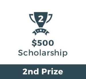 2nd prize