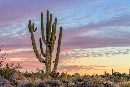 Scottsdale, AZ Personal Injury Lawyers - Mushkatel, Gobbato, & Kile, P.L.L.C.